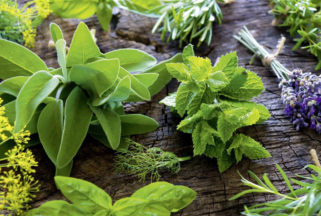 مکمل|گیاهان دارویی بدون نیاز به تجویز