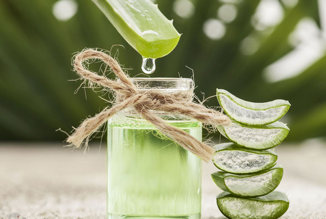 مکمل|آلوئه ورا و خواص آن