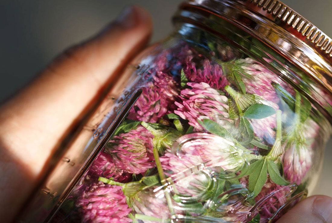 مکمل|گیاه ضد افسردگی